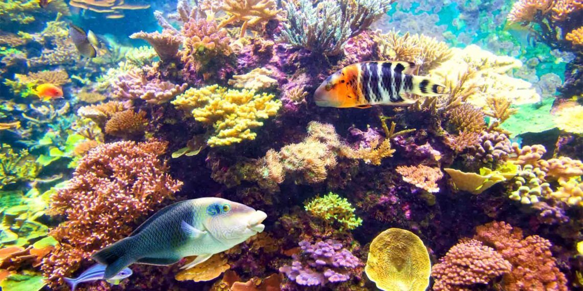 Prohibidos protectores solares