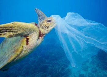 plastico en el mar