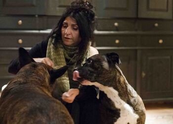 lita cabellut artista