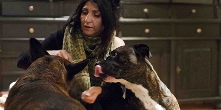 lita cabellut artista