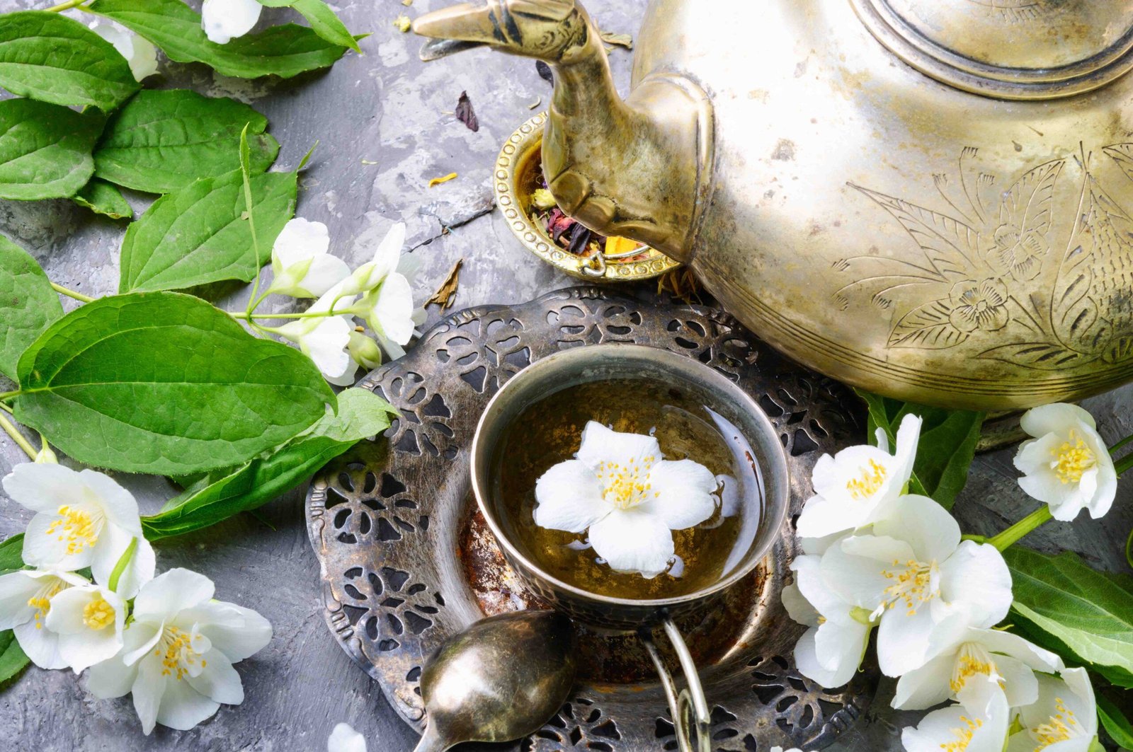 Plantas medicinales jazmin