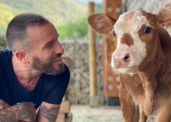 ismael lopez dobarganes