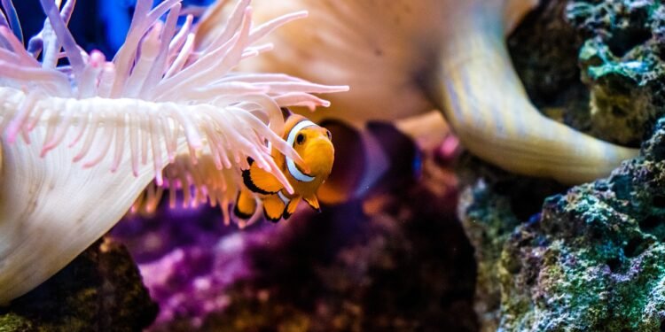 Tailandia prohibe el uso de cremas solares