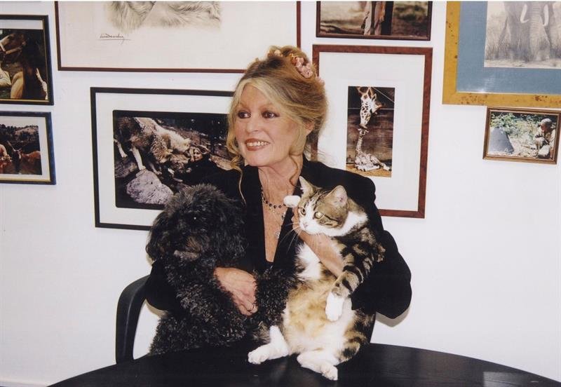 brigitte bardot animalista