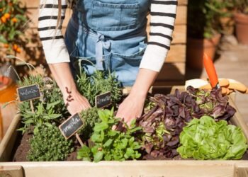 como hacer un huerto urbano