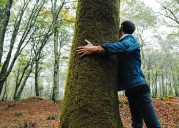 Beneficios de abrazar un arbol