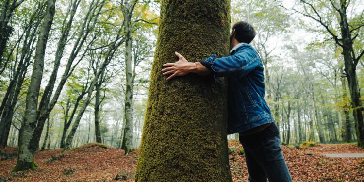Beneficios de abrazar un arbol