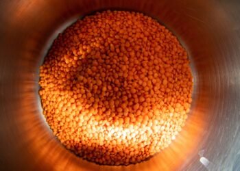 propiedades de las lentejas