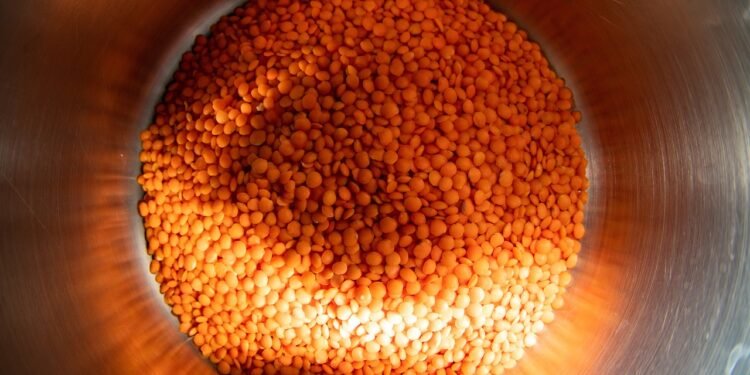 propiedades de las lentejas