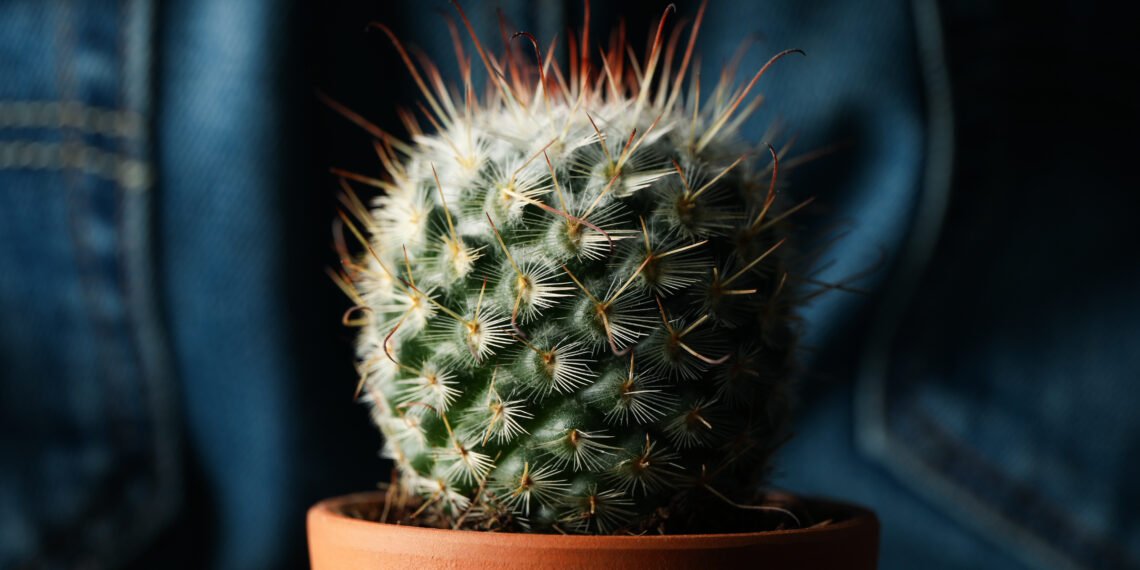 Posturas para Desinflamar las Hemorroides