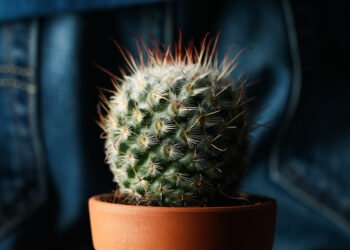 Posturas para Desinflamar las Hemorroides