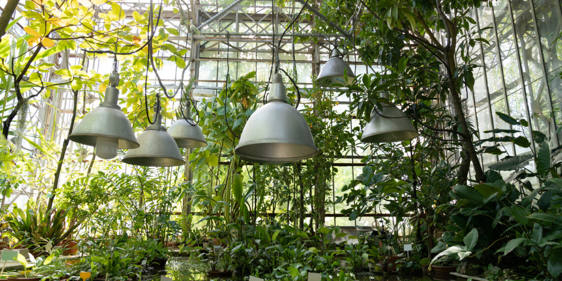 ¿Dónde Tirar los Tubos Fluorescentes?