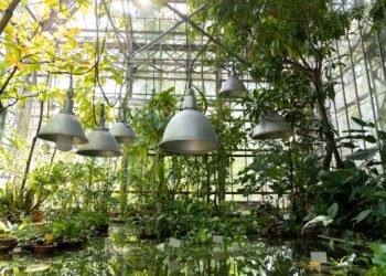 ¿Dónde Tirar los Tubos Fluorescentes?