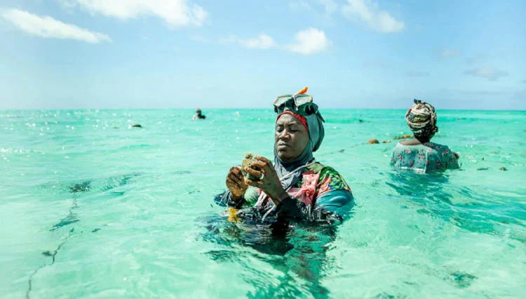 desarrollo economico sostenible zanzibar